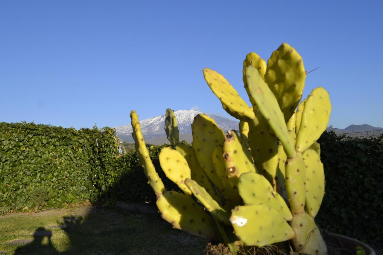Bed and Breakfast Good Morning Etna Бронте Экстерьер фото