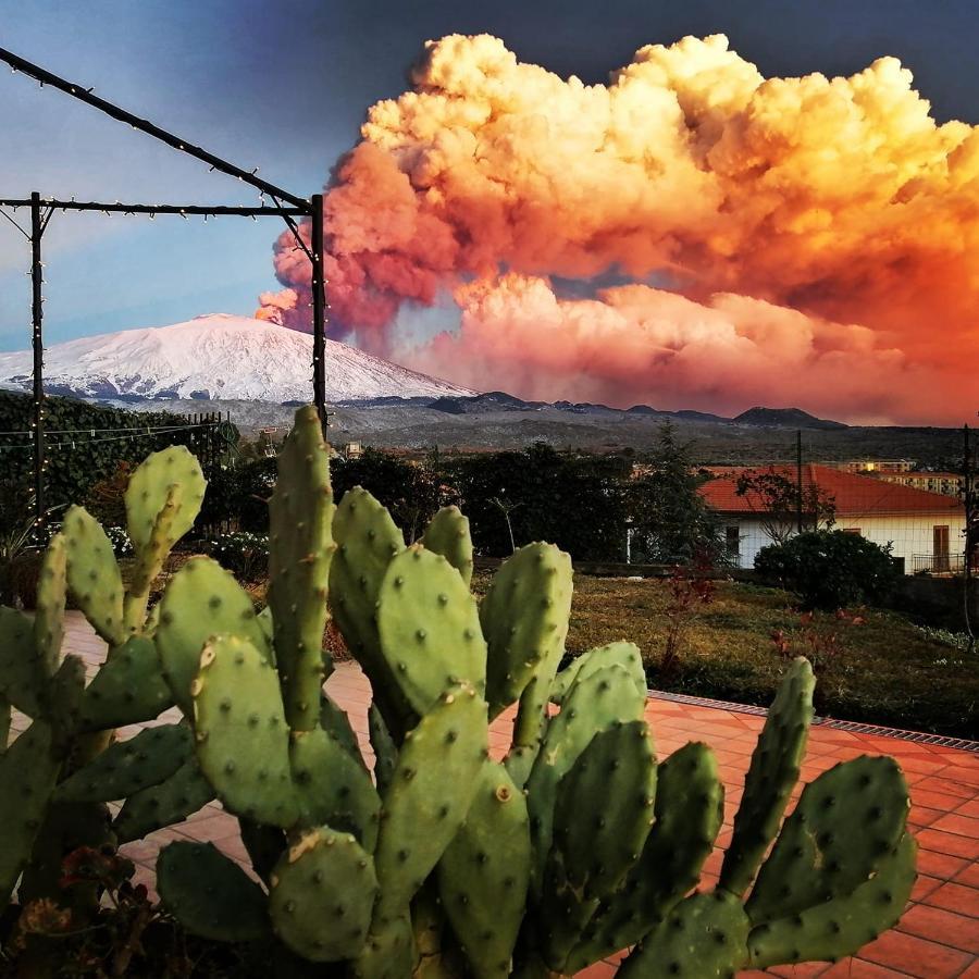 Bed and Breakfast Good Morning Etna Бронте Экстерьер фото